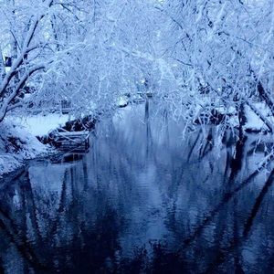 Meet your Posher, Sophia